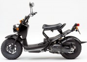 Honda Zoomer Honda Zoomer